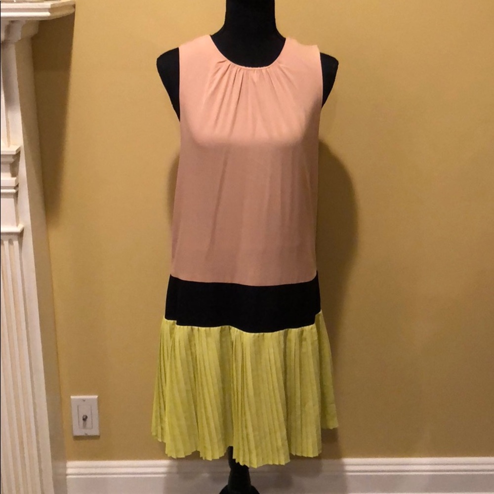 Walter Baker Pleated Dress
